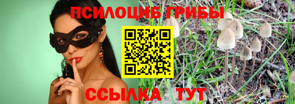 Псилоцибиновые грибы мухоморы Городец