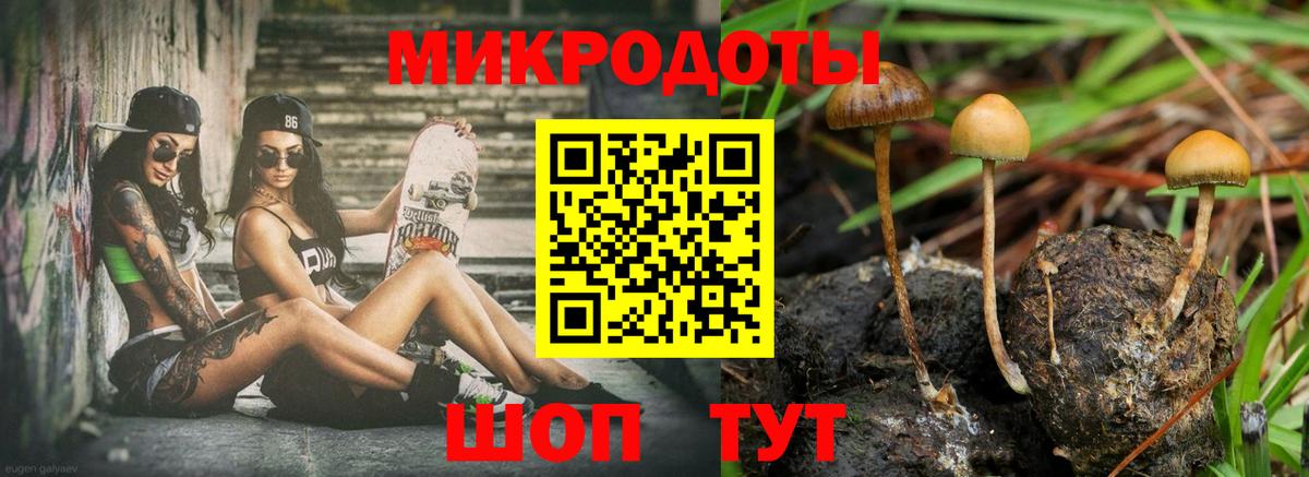 Галлюциногенные грибы Magic Shrooms  Галлюциногенные грибы Magic Shrooms  Вход с VPN  Городец 